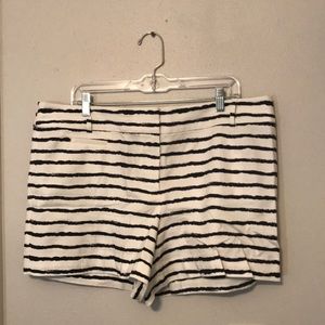 LOFT Navy/Cream Shorts